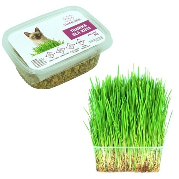 КОШАЧАЯ СЕТКА ДЛЯ БАЛКОНА, АРМИРОВАННАЯ ПРОВОЛОКОЙ м2