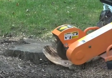 STILER МОЩНЫЙ STUM NULLER БЕНЗИНОВЫЙ КОМБИНИРОВАННЫЙ ФРЕЗЕРНЫЙ СТАНОК ИЗМЕЛЬЧИТЕЛЬ B&S ДВИГАТЕЛЬ 13,5 Л.С.