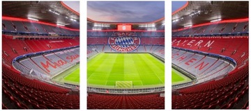 3x OBRAZ NA ŚCIANĘ ARENA MONACO TRYPTYK 50x70