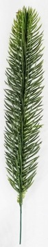 GAŁĄZKI świerku 10 szt po 25 cm ŚWIERK gałązka
