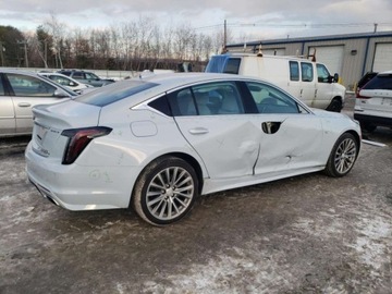 Cadillac 2022 Cadillac CT5 Premium Luxury Special Edition 2022 3.0l 3.0 Benzyna 335KM, zdjęcie 3
