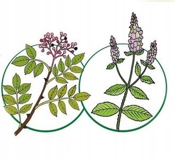 CHICCO NATURALZ ROLL ON ЗАЩИТНЫЙ ПРЕПАРАТ ОТ КОМАРОВ 60