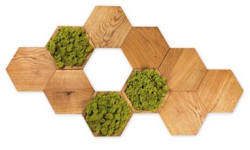 PANELE ŚCIENNE MECH CHROBOTEK JASNY HEKSAGON MIDI