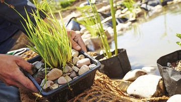 AGRO СУБСТРАТ ЗЕМЛЯНОЙ СУБСТРАТ ДЛЯ ВОДНЫХ РАСТЕНИЙ 40Л