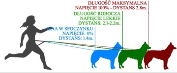 HIFICA RUN TREK 2.2 PP 40 Веревочный амортизированный поводок для бега по каникроссу