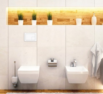 WC Set Flush рама белая кнопка + чаша