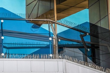 САМЫЕ ТОЛСТЫЕ СИЛЬНЫЕ ШИПЫ ДЛЯ ПТИЦ, ГОЛУБИ, ШИП ИЗ НЕРЖАВЕЮЩЕЙ СТАЛИ ПРОТИВ ПТИЦ