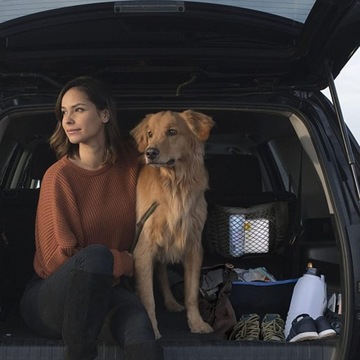 НАБОР СЕТОК В БАГАЖНИК АВТОМОБИЛЯ НА ЗАВИСКЕ, 4 ПРЕДМЕТА XXL.