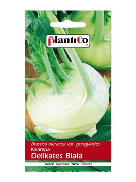 Nasiona KALAREPA DELIKATES BIAŁA PlantiCo
