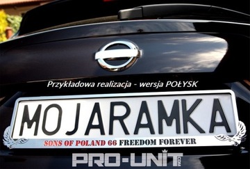 МЕТАЛЛИЧЕСКАЯ регистрационная рамка! для BMW M MPower X M Performance для досок