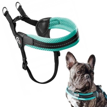 SZELKI dla psa Jack Russell M TRE PONTI 43-58cm miętowe BEZUCISKOWE