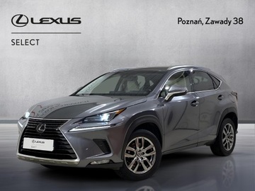 Lexus NX I SUV 200t 238KM 2017 Lexus NX 300 Comfort AWD I (2014-2021) Lexus NX 30