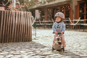 Scoot And Ride СКУТЕР и RIDE 2in1 Highwaykick 1 Коричневые линии 1–5 ЛЕТ