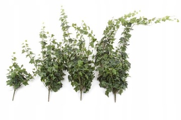 искусственный плющ английский 45 см лозы HEDERA IVY