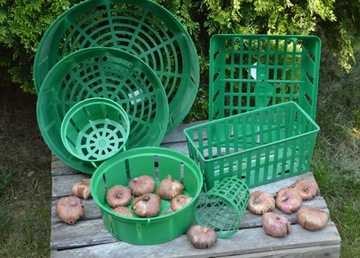 Луковицы ONION COVER BASKET 30 х 30 см 5 шт.