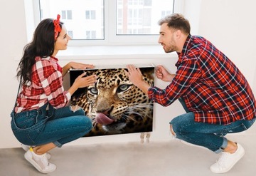 MAGNETYCZNA OSŁONA NA KALORYFER 60x60 KOT FOTOTAPETA