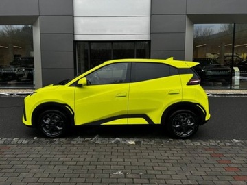 BYD 2025 BYD Dolphin Surf Comfort Hatchback (156 KM) 2025, zdjęcie 1