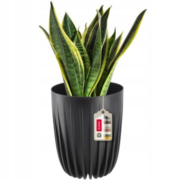 DONICZKA OSŁONKA EKO + WKŁADKA CZARNA 25x30CM