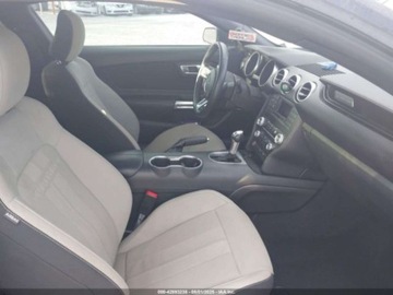 Ford Mustang VI 2021 Ford Mustang Ecoboost Fastback 2021 2.3l 2.3 Benzyna 310KM, zdjęcie 9