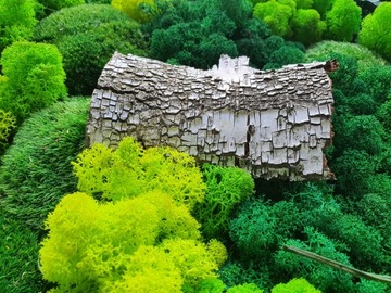 МОХ + КОНДИЦИОНЕР Chrobotek 500 0,5 кг CLEAN 3 ЦВЕТА КОРОБКА + КОНДИЦИОНЕР БЕСПЛАТНО