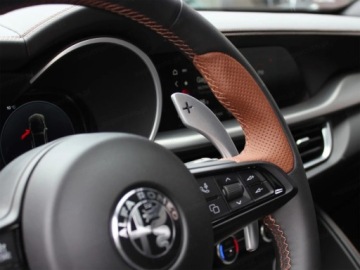 Alfa Romeo Stelvio SUV Facelifting 2023 2.0 GME Turbo 280KM 2026 ALFA ROMEO Stelvio Turbo Intensa Q4 Suv 2.0 (280KM) 2026, zdjęcie 6