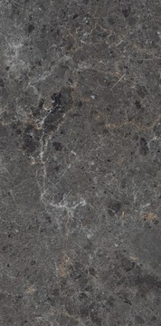 НАСТЕННАЯ ПЛИТКА СЕРЫЙ МРАМОР БЛЕСК POGREEN 120X60 CERAL