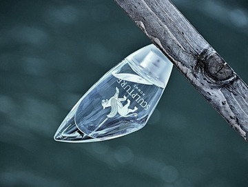 NIKOS SCULPTURE HOMME EDT БУТЫЛКА 100 МЛ + КРЫШКА x