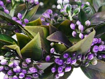 WIANEK RUSKUS NA STÓŁ DRZWI DEKORACJA BOHO FIOLETOWE KULECZKI 22 cm