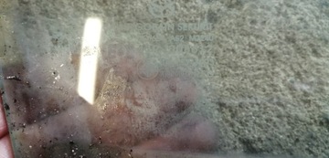 MAZDA 3 09-13 BL SKLO (OKNO) DVEŘE PRAVÁ PŘEDNÍ 08R