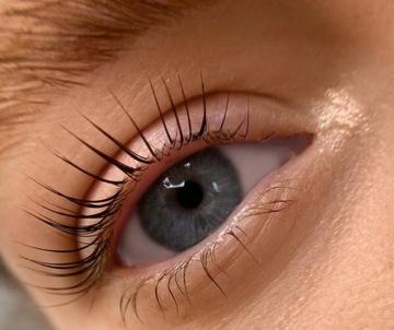 Универсальные силиконовые ролики для лифтингового ламинирования ресниц, 1 пара PLATINUM