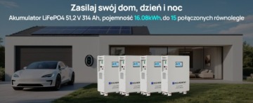 ЭКО-накопитель энергии 16 кВтч, 51,2 В, 314 Ач, аккумулятор LiFePO4, 200 А BMS, BT