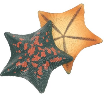 Rozgwiazda Sea Animal Bowl Dekoracje Figurka