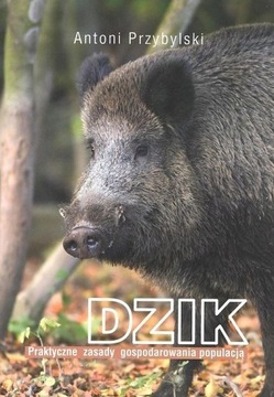 DZIK GOSPODARKA POPULACJĄ MYŚLISTWO ŁOWIECTWO