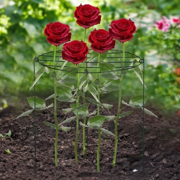 Podpórka do roślin Drabinka Pergola na kwiaty