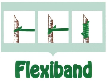 Plexiband Type B полосы вакцинации - 160 x 4,5