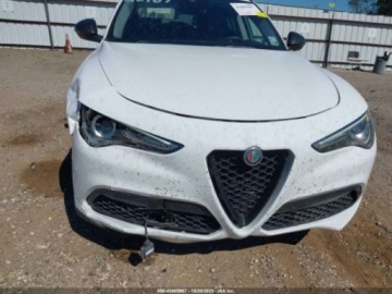 Alfa Romeo Stelvio SUV Facelifting 2.0 Turbo 280KM 2020 Alfa Romeo Stelvio 2020 Alfa Romeo Stelvio RWD 2.0 Benzyna 280KM, zdjęcie 8