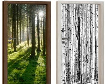 NAKLEJKA na DRZWI Meble Fototapeta Okleina