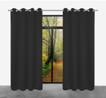 Шторы на люверсах BLACKOUT BLACKOUT 140х250 ЧЕРНЫЙ Арктика