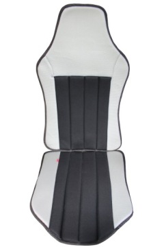 АХАН ОДИНАРНЫЙ АВТОМОБИЛЬНЫЙ КОВрик