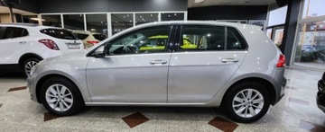 Volkswagen Golf VII Hatchback 3d 1.6 TDI-CR DPF 105KM 2013 Volkswagen Golf Golf 7 4x4 tylko 176 tys.przebiegu 1.6 Diesel 105KM, zdjęcie 19