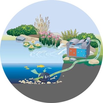 КОМПЛЕКТ C-фильтр + УФ-ЛАМПА + НАСОС 6000 + ШЛАНГ + КРАСКА