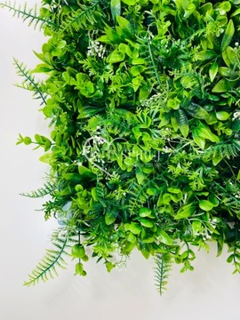 НАСТЕННЫЙ КОВРИК ЗЕЛЕНОЕ РАСТЕНИЕ СТЕНА ЭВКАЛИПТ ПАПОРОТНИК ЧЕРЕЗ ИЗГОРОДА