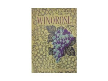Stanisław Madej - Winorośl stan DB