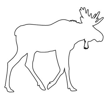 Naklejka na samochód ŁOŚ MOOSE na auto Szwecja