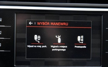 Citroen Grand C4 Picasso II Grand Picasso Facelifting 2.0 BlueHDi 150KM 2018 Citroen C4 Grand Picasso FULLED skora Blis alusy LINNE ASSIST Idealny Pano, zdjęcie 32