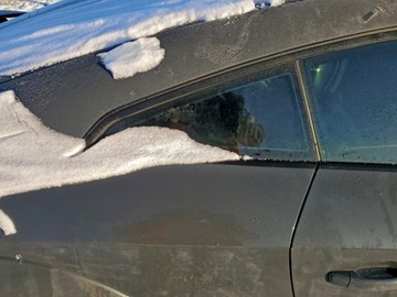 Audi TT 8S 2021 Audi TT Coupe 2021 AUDI TT 2.0 Benzyna 220KM, zdjęcie 10