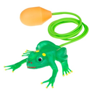 Тулло прыгает зеленая żabka