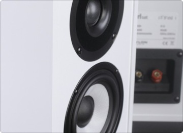 КНИЖНЫЕ ДИНАМИКИ PYLON AUDIO PEARL SAT WHITE HG