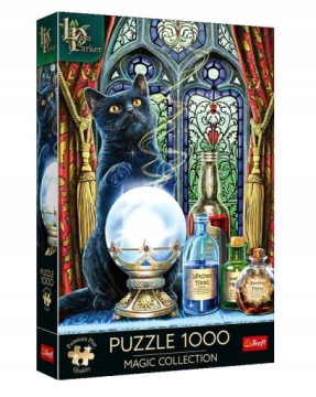Relaxační Puzzle pro skládání Logická Hra Sada Puzzle Čarodějnický Žák