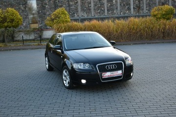 Audi A3 8P Hatchback 3d 1.6 102KM 2008 Audi A3 1.6MPi 102KM Manual 2008r. lift Climatroni, zdjęcie 13